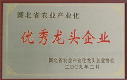 优秀龙头企业